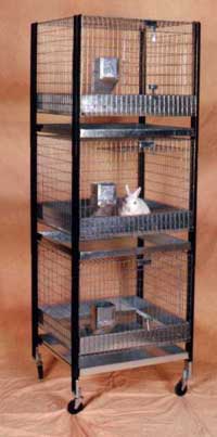 renæssance kromatisk i mellemtiden Rabbit cage wire